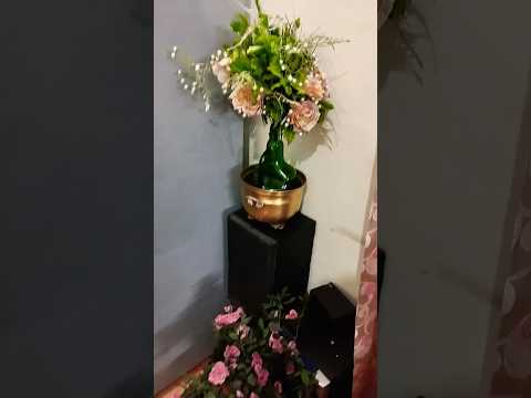 beautiful Rose hprider viju