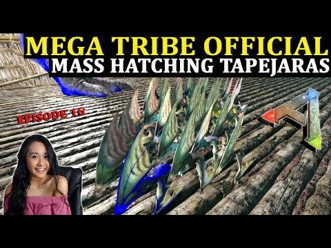 Massive Breeding And Hatching Tapejaras - Mega Tribe Survival Official PvP - Ark: Survival Evolved