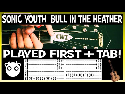 Bull In The Heather - Sonic Youth
