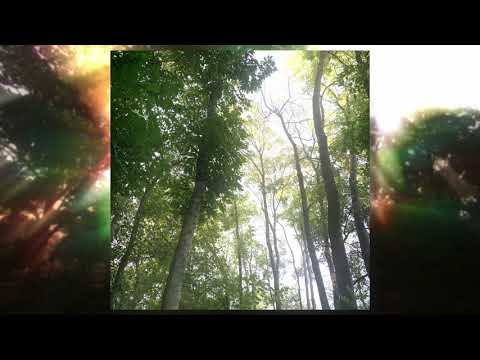 [FREE] *chill* nothing,nowhere. x Midwest Emo/Alternative Emo Type Beat