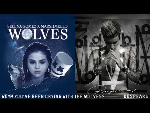 WOLVES/WHAT DO YOU MEAN - Selena Gomez, Justin Bieber, Marshmello (Mashup)