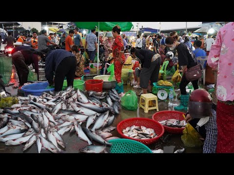 Cambodian Early Fish Market Scene - Daily Lifestyle Of Khmer People Buying Alive Fish, Dry Fish