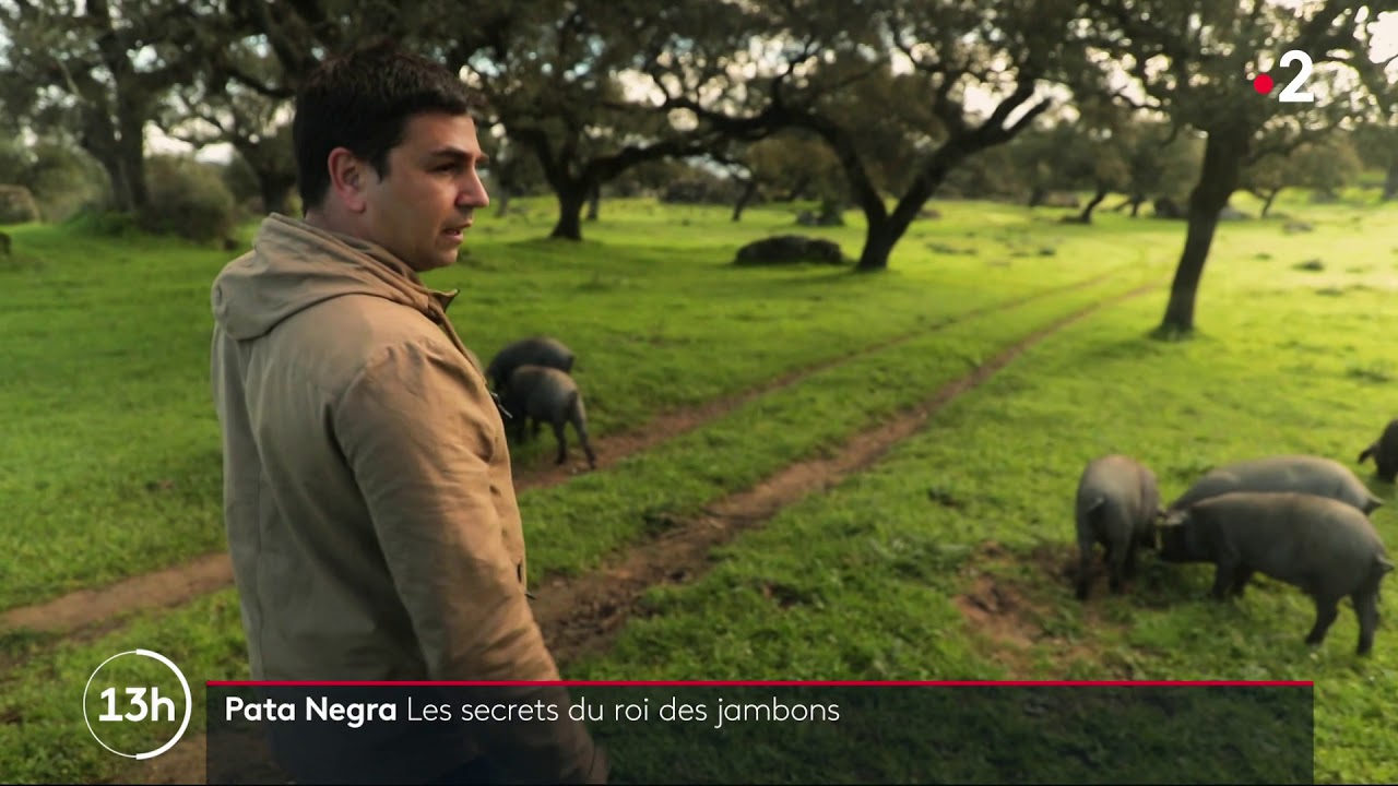 Le jambon Pata negra d'Espagne, mars 2021