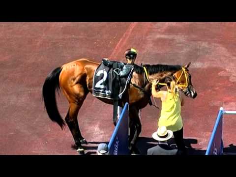 24th Oct 2015 - Ascot - Race 2 - George 'n' Ernie - Neville Parnham
