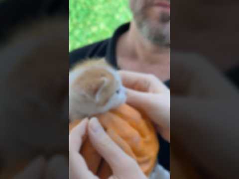 Ailemizin yeni üyesi