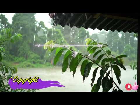 No Copyright | Free Music #shorts #viral #Mulita #lyrics #song #music #relaxing