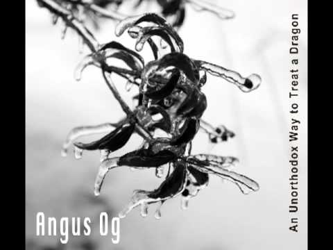 Angus Og - Bumble Bee