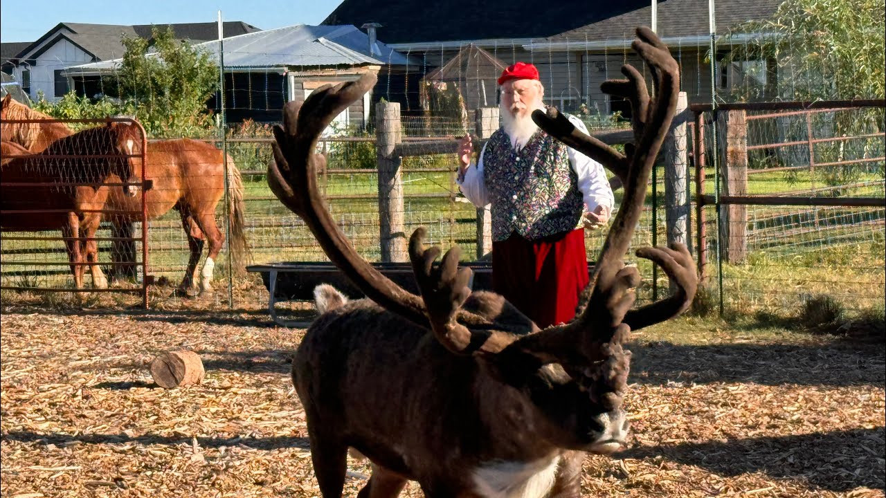 Promotional video thumbnail 3 for J&L Santa Team