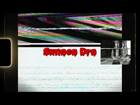 Sunoco Dro - snakes in my lawn (Official Video)