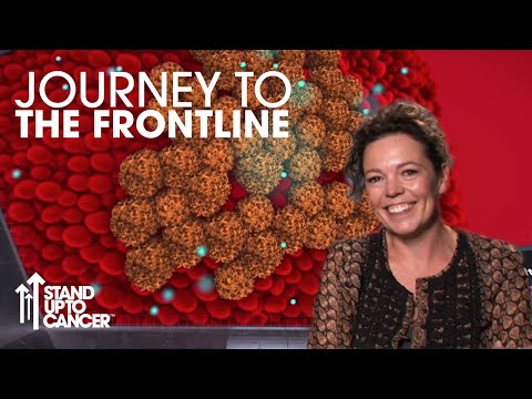 Journey to the Frontline