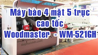 Máy bào 4 mặt 5 trục cao tốc băng tải, Kết hợp máy cắt phôi tự động