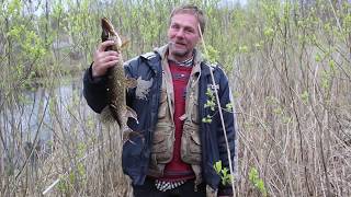 Ловля щуки в конце апреля на живца
