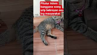 Download lagu Wong jowo ojo lali karo jawane mp3