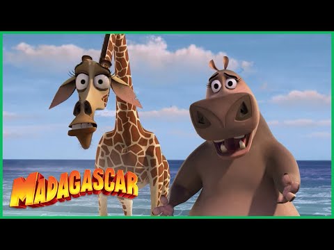 Capa de DreamWorks Madagascar em Português | Olha, é a Glória!! | Madagascar