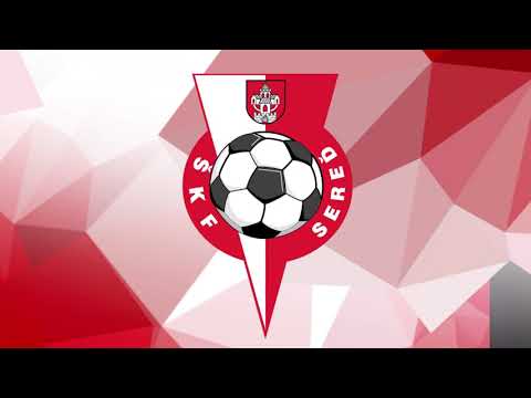 | ZOSTRIH | FK Dubnica nad Váhom vs. ŠKF Sereď #HIGHLIGHTS
