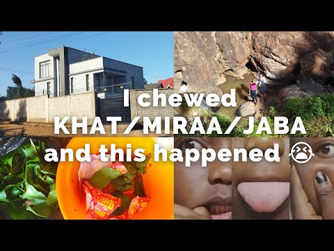VLOG//REACTIONS to Chewing KHAT for the first time+A Day in Life#adayinmylife #reaction #khat