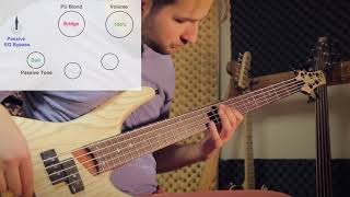 Video thumbnail for Ibanez SR655 - Review and Sound Test by YAZ