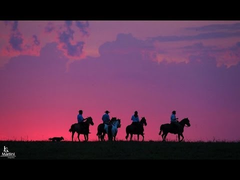 Don Blanco video