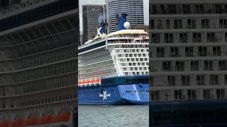 Fun, Fun, Fun on Celebrity Eclipse #beachboys #celebritycruises #sydneyharbour #mermaids #shorts