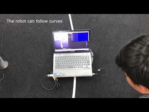 A video of the robot in action