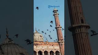 Mitos atau Fakta Apakah Menelan Air Liur Dapat Membatalkan Puasa Begini Penjelasannya