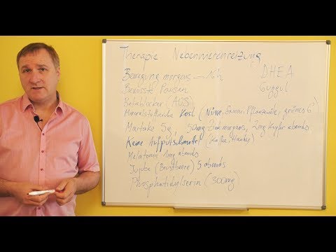 Die Nebenniere 1/6: Nebennierenschwäche und Nebennierenreizung