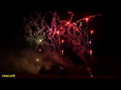 76 Pro Line - 49 Shot Go Getters