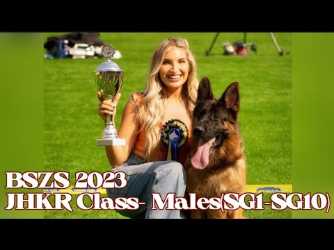 BSZS 2023 || JHKR class SG1 - SG10 || world championship - German shepherd||