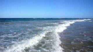 preview picture of video 'Beach Muro Alto Ipojuca Recife Pernambuco Brazil'