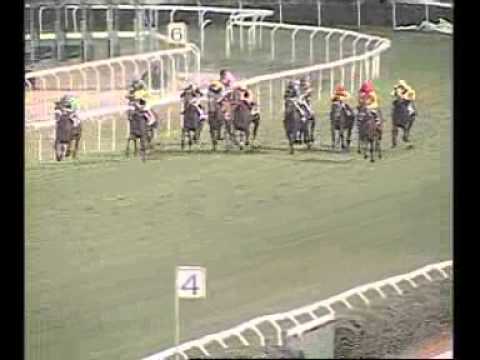 Premio Palmieri 2012 (HANDICAP PRINCIPALE)