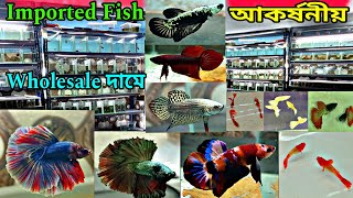Aquarium Fish Shop | Fish Pet Shop Near Me | Aquarium Fish Shop Near Me | Aquarium Fish | Fish Shop