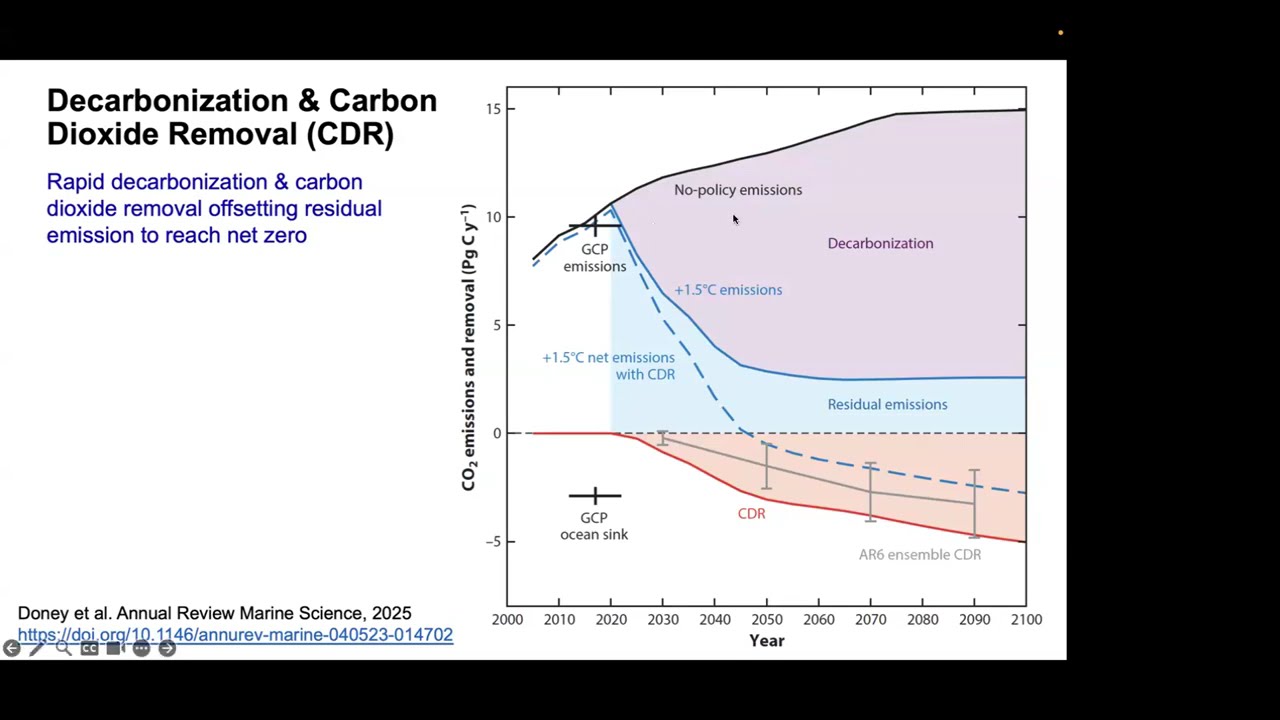 Prof. Scott Doney | Marine Carbon Dioxide Removal