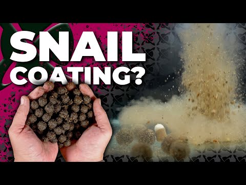 USING SNAILS 🐌 TO BOOST YOUR BOILIES = BIG CARP TACTIC! 🔥