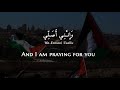 Fairuz - Zahrat Al-Mada'en (Modern Standard Arabic) Lyrics + Translation - فيروز زهرة المدائن