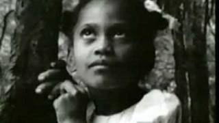 juan luis guerra   ojala que llueva cafe