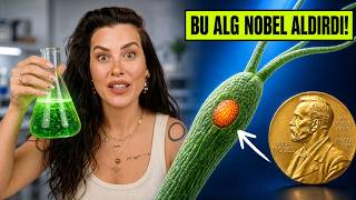 Bir Algden Nobel’e: Sinir Hücrelerini Işıkla Çalıştırmak