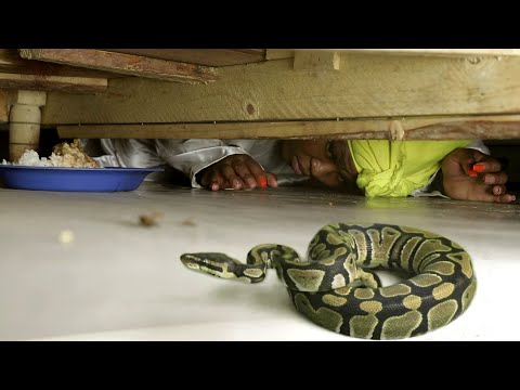 PFUMA YA BABA (S02_EPISODE 34) FINAL 