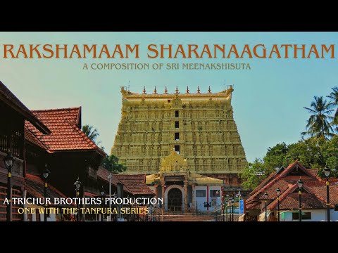 Rakshamaam Sharanaagatham || Sri Minakshi Suta || Trichur Brothers LIVE IN