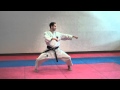 Tekki Shodan Slow Warren Levi Karate