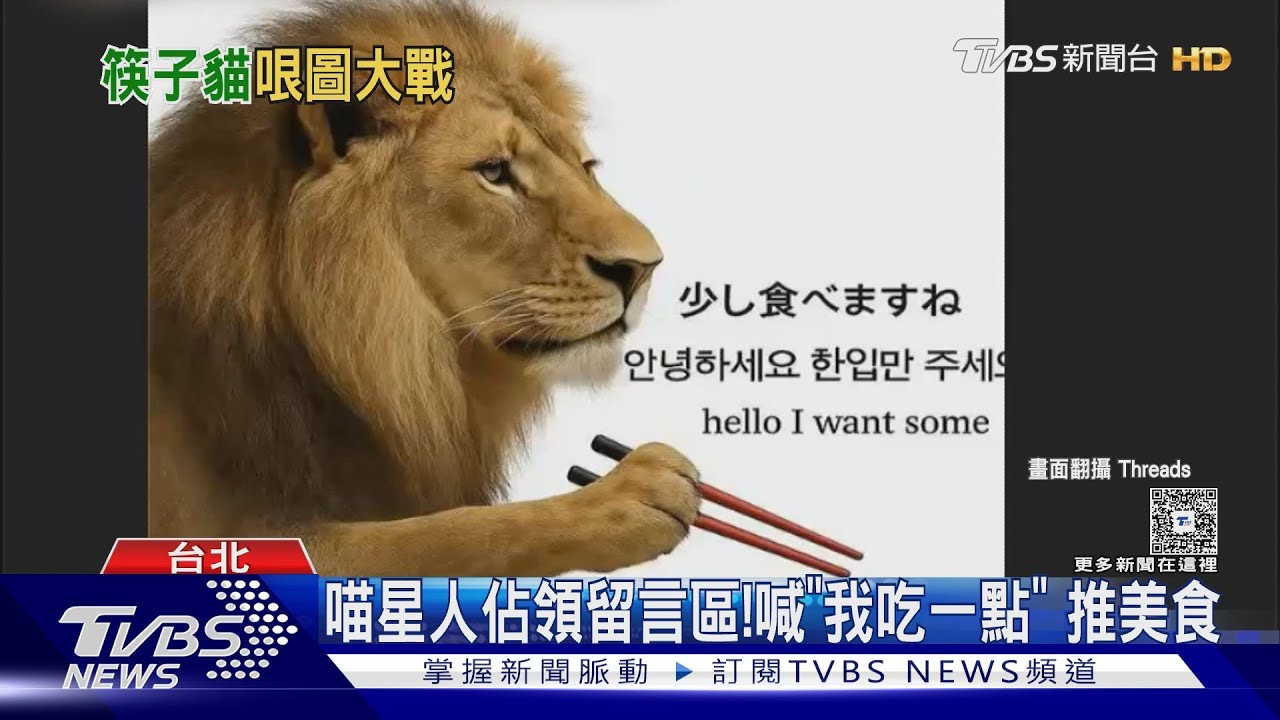 日韓旅客瘋來台！文章被貓佔領「我吃一點」掀哏圖大戰　韓原PO出面回應了