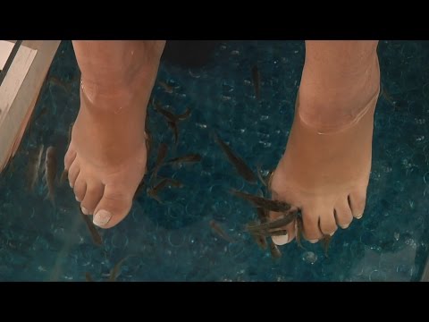 ICTIOTERAPIA, NUEVA ALTERNATIVA DE RELAJACIÓN - Iquique TV