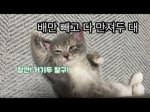 아이콘