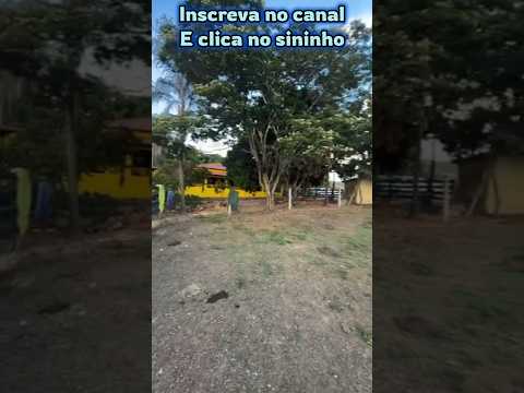 Em Alexânia GO, ótima fazenda com 214 hectares #brasil #pecuarista #fazenda #mercadoagricola #sitio