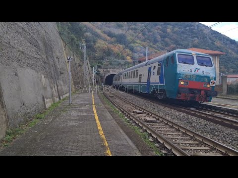 R 5560/5561 Reggio Calabria C.le - Cosenza