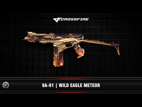 CF : 9A-91 | Wild Eagle Meteor (VIP)