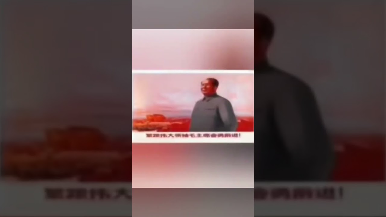 cat scream (Chinese edition)