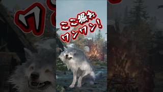 狼の恩返し・・・？ #ドグマ冒険ショート No.2