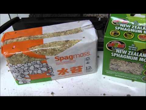 YouTube video about: How to use sphagnum moss for reptiles?