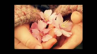 En el Jardin  - Alejandro Fernandez y Gloria Estefan