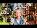 What It S Like Staying In Tree House Airbnbs From Host To Guest